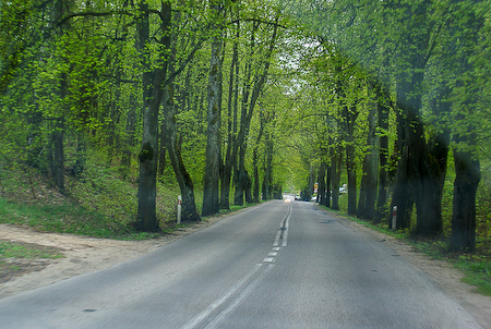 Дороги северной Польши
